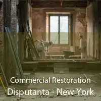 Commercial Restoration Disputanta - New York