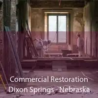 Commercial Restoration Dixon Springs - Nebraska