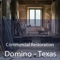 Commercial Restoration Domino - Texas