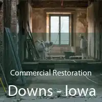 Commercial Restoration Downs - Iowa