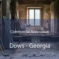 Commercial Restoration Dows - Georgia