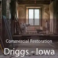 Commercial Restoration Driggs - Iowa
