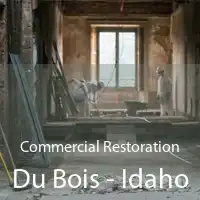 Commercial Restoration Du Bois - Idaho