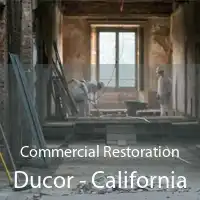 Commercial Restoration Ducor - California