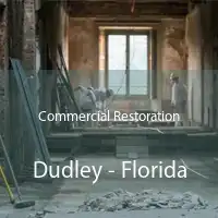 Commercial Restoration Dudley - Florida