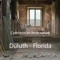 Commercial Restoration Duluth - Florida