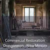 Commercial Restoration Dungannon - New Mexico