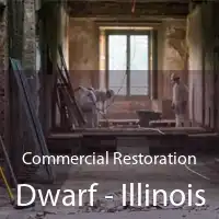 Commercial Restoration Dwarf - Illinois