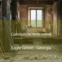 Commercial Restoration Eagle Grove - Georgia