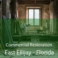 Commercial Restoration East Ellijay - Florida