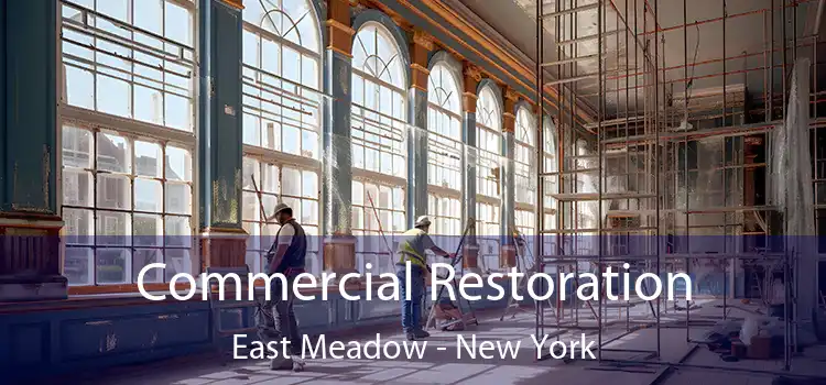 Commercial Restoration East Meadow - New York