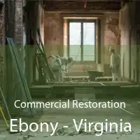 Commercial Restoration Ebony - Virginia