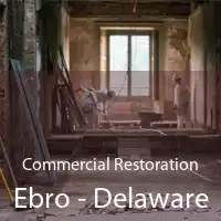 Commercial Restoration Ebro - Delaware
