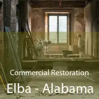 Commercial Restoration Elba - Alabama