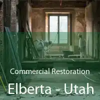 Commercial Restoration Elberta - Utah