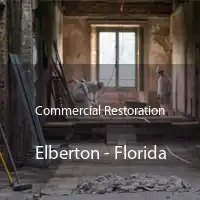 Commercial Restoration Elberton - Florida