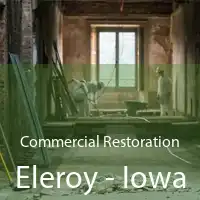 Commercial Restoration Eleroy - Iowa