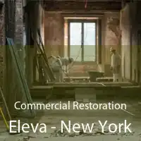 Commercial Restoration Eleva - New York