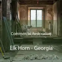 Commercial Restoration Elk Horn - Georgia