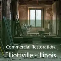Commercial Restoration Elliottville - Illinois