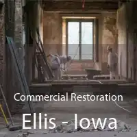 Commercial Restoration Ellis - Iowa