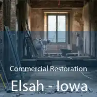 Commercial Restoration Elsah - Iowa