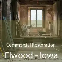 Commercial Restoration Elwood - Iowa