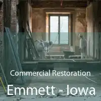 Commercial Restoration Emmett - Iowa