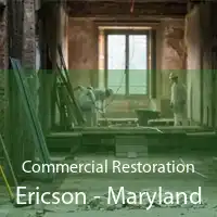 Commercial Restoration Ericson - Maryland