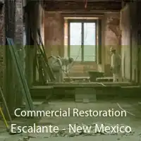 Commercial Restoration Escalante - New Mexico
