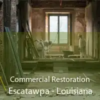 Commercial Restoration Escatawpa - Louisiana