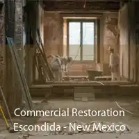 Commercial Restoration Escondida - New Mexico