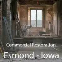 Commercial Restoration Esmond - Iowa