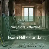 Commercial Restoration Esom Hill - Florida