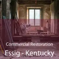 Commercial Restoration Essig - Kentucky