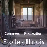 Commercial Restoration Etoile - Illinois