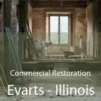 Commercial Restoration Evarts - Illinois