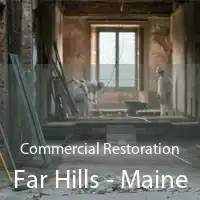 Commercial Restoration Far Hills - Maine