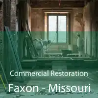 Commercial Restoration Faxon - Missouri