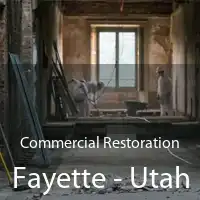 Commercial Restoration Fayette - Utah
