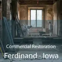 Commercial Restoration Ferdinand - Iowa