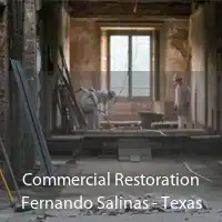 Commercial Restoration Fernando Salinas - Texas