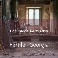 Commercial Restoration Fertile - Georgia