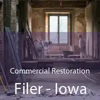 Commercial Restoration Filer - Iowa