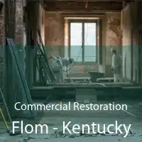 Commercial Restoration Flom - Kentucky