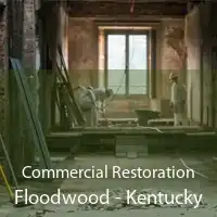 Commercial Restoration Floodwood - Kentucky