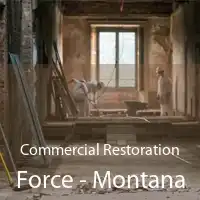 Commercial Restoration Force - Montana