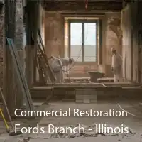 Commercial Restoration Fords Branch - Illinois