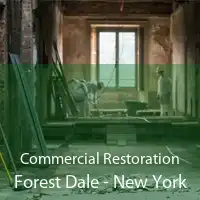Commercial Restoration Forest Dale - New York