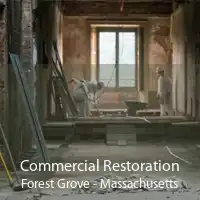 Commercial Restoration Forest Grove - Massachusetts